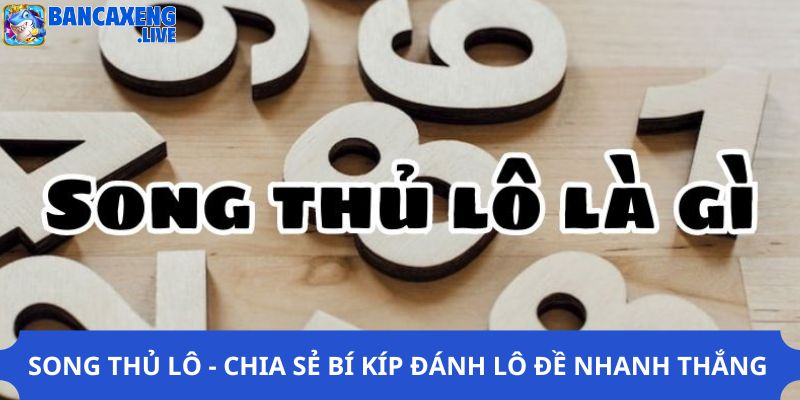 Song Thủ Lô - Chia Sẻ Bí Kíp Đánh Lô Đề Nhanh Thắng
